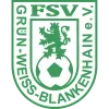 FSV Grün-Weiss Blankenhain II