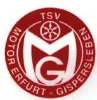 Motor Gispersleben