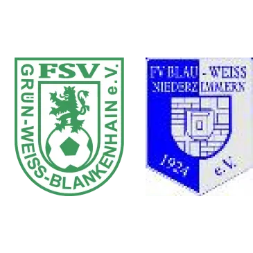 (E) FSV GW Blankenhain <span class="nowrap bold mx-1">2 : 7</span> FV BW Niederzimmern