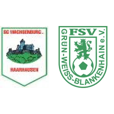 (1M) SG Haarhausen <span class="nowrap bold mx-1">6 : 2</span> FSV GW Blankenhain