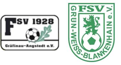 (1M) Kommt der FSV bei den Wölfen wieder in die Spur?