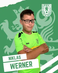 Niklas Werner