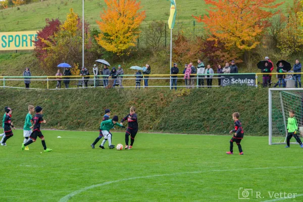 29.10.2023 SG Haarhausen vs. FSV GW Blankenhain