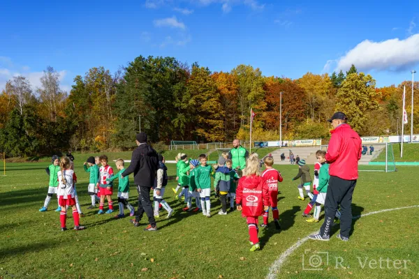 04.11.2023 FSV GW Blankenhain vs. SG Marlishausen