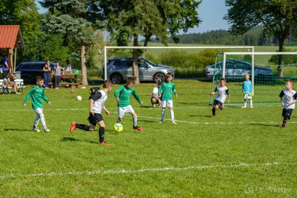 08.06.2024 FSV GW Blankenhain vs. SV Fortuna Griesheim
