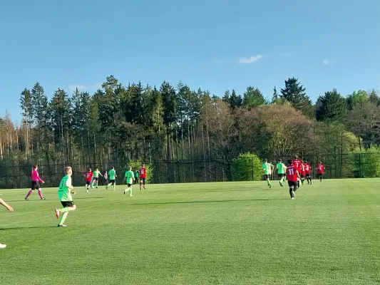 23.04.2025 FSV GW Blankenhain vs. Fort Großschwabhsn II