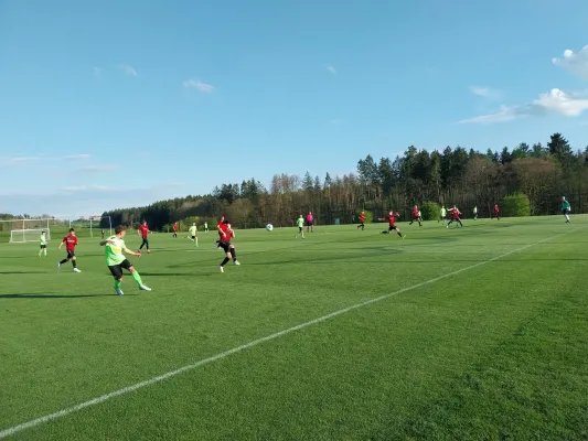 23.04.2025 FSV GW Blankenhain vs. Fort Großschwabhsn II
