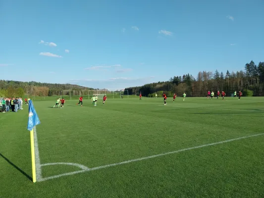 23.04.2025 FSV GW Blankenhain vs. Fort Großschwabhsn II