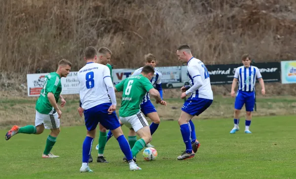 29.03.2025 TSV 1880 Elgersburg vs. FSV GW Blankenhain