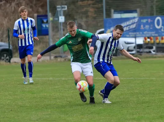 29.03.2025 TSV 1880 Elgersburg vs. FSV GW Blankenhain