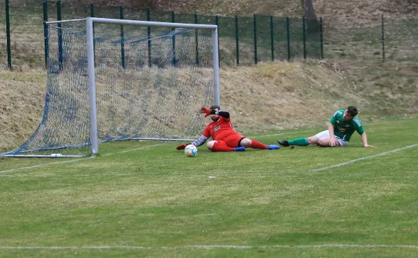 29.03.2025 TSV 1880 Elgersburg vs. FSV GW Blankenhain