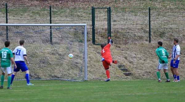 29.03.2025 TSV 1880 Elgersburg vs. FSV GW Blankenhain