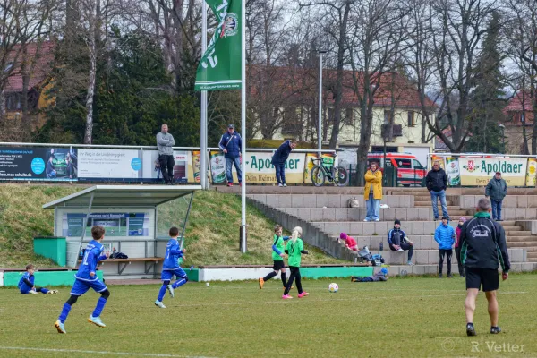 23.03.2025 FSV GW Blankenhain vs. FV BW Niederzimmern