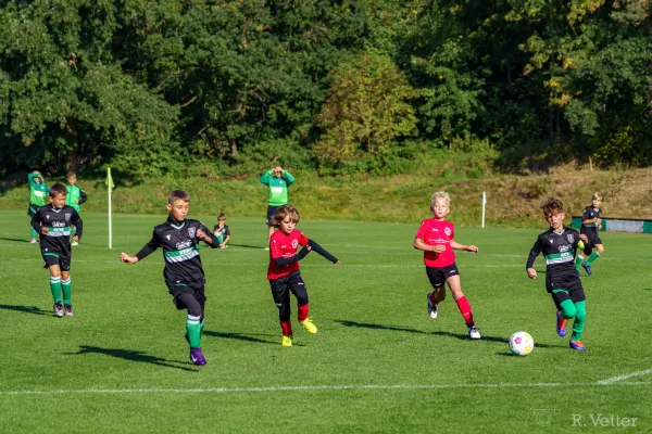 24.08.2025 FSV GW Blankenhain vs. VfB Oberweimar