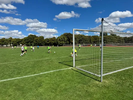 31.08.2025 VfB Oberweimar vs. FSV GW Blankenhain
