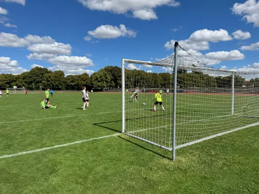 31.08.2025 VfB Oberweimar vs. FSV GW Blankenhain