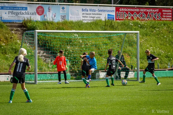 17.08.2025 FSV GW Blankenhain vs. FC Einheit Bad Berka