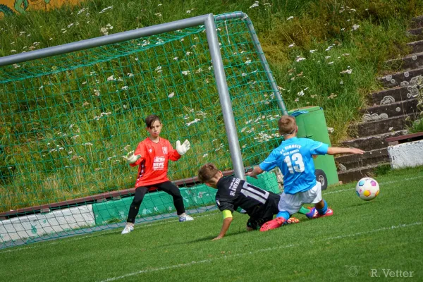 17.08.2025 FSV GW Blankenhain vs. FC Einheit Bad Berka