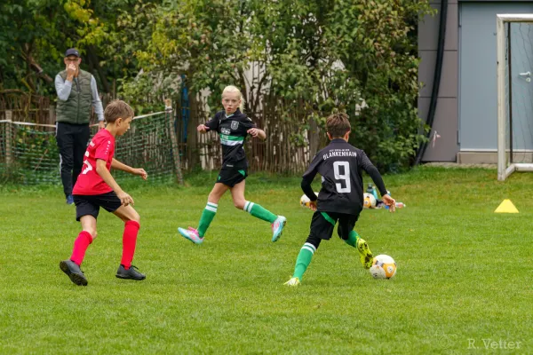 28.09.2025 VfB Oberweimar vs. FSV GW Blankenhain