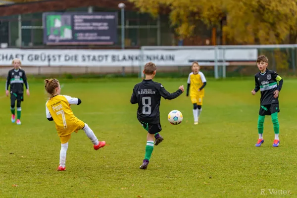 02.11.2025 FSV GW Blankenhain vs. SC 1903 Weimar II