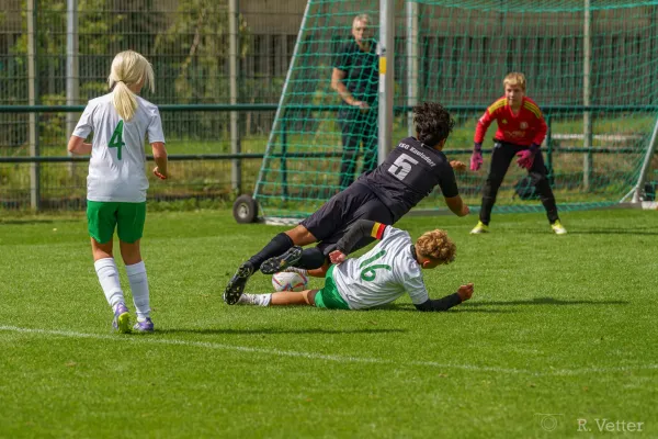 23.08.2026 FSV GW Blankenhain vs. TSG Kaulsdorf