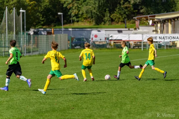 06.09.2026 FSV GW Blankenhain vs. Einheit Rudolstadt II