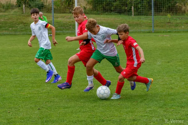25.08.2026 SV 70 Tonndorf II vs. FSV GW Blankenhain