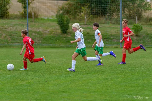 25.08.2026 SV 70 Tonndorf II vs. FSV GW Blankenhain