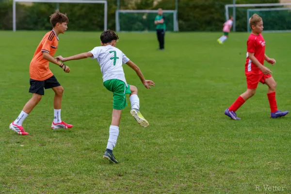 25.08.2026 SV 70 Tonndorf II vs. FSV GW Blankenhain
