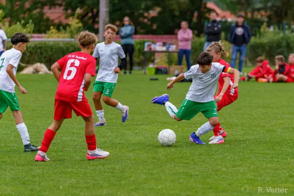 25.08.2026 SV 70 Tonndorf II vs. FSV GW Blankenhain