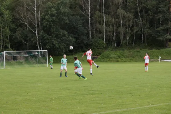 20.08.2017 SG FSV GWB vs. St. Unterwellenborn