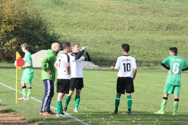 04.11.2017 SG TSV 1864 Magdala vs. BSC Apolda