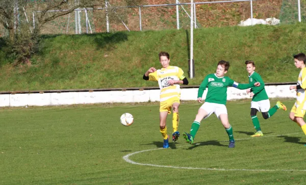 04.11.2017 FSV GW Blankenhain vs. Einheit Rudolstadt